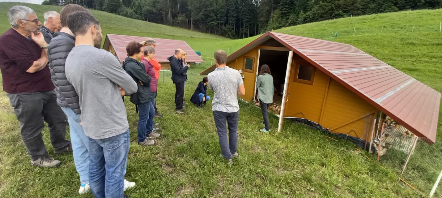 Besucher lauschen den Erläuterungen