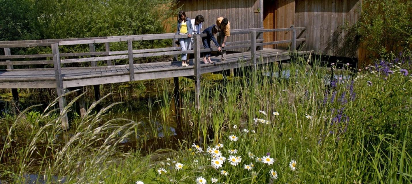 BirdLife Naturzentrum La Sauge